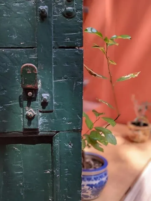Affascinante Bilocale Nel Cuore Del Centro Storico Apartment Bologna Italy
