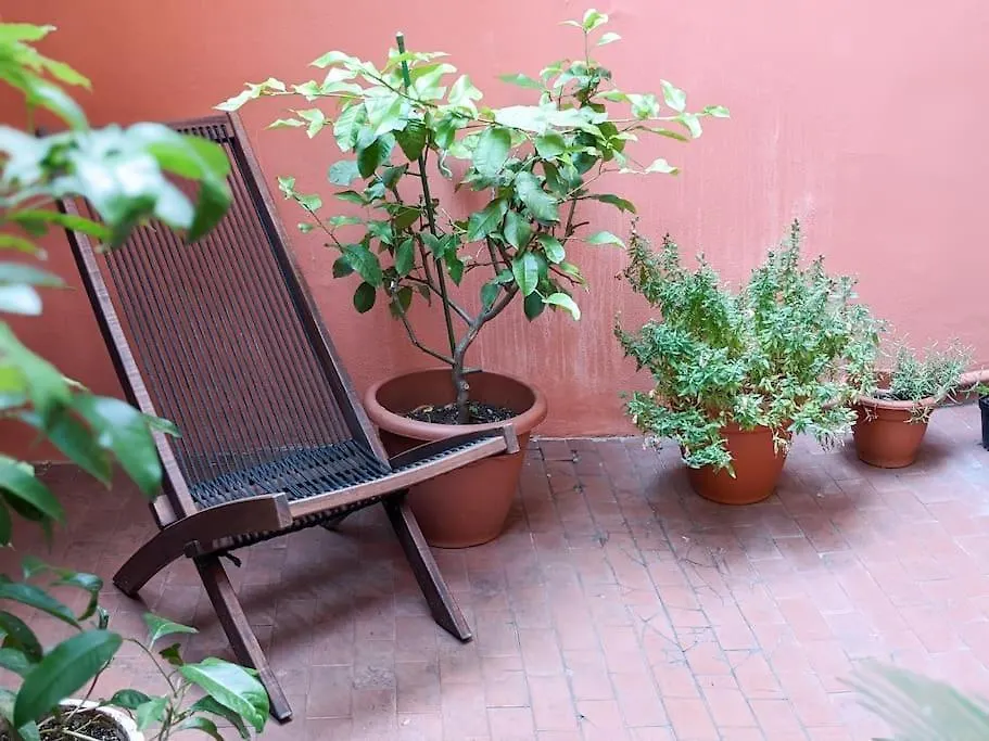Affascinante Bilocale Nel Cuore Del Centro Storico Apartment Bologna